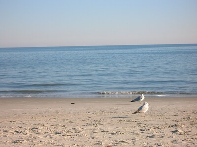 Hilton Head Paradise: 3BR/3BA, Close to Westin, Beach, Tennis & Golf