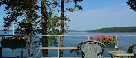 A sunny day on the deck.