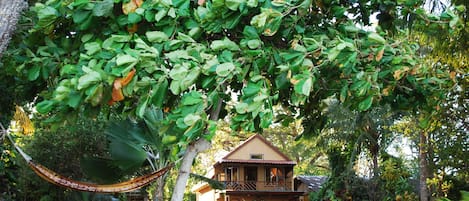 VIEW OF HOUSE FROM BEACH