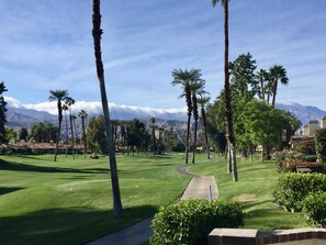 View from the patio