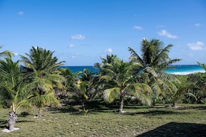 Grounds and view of Atlantic Ocean