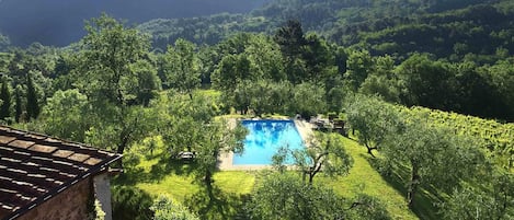 View of pool from bedroom window. The pool benefits from all day sunshine