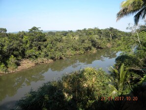 The Beautiful Macal River.