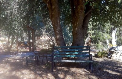 Our cozy cabin is clean & sanitized for our guests.