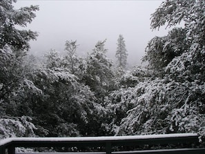 Winter view from the top deck~