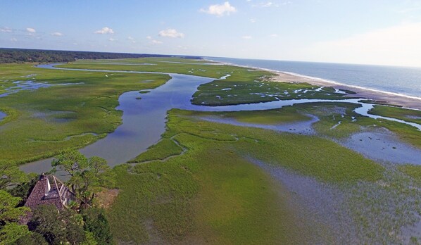Aerial view