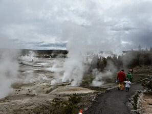 Norris Geyser Basin in Yellowstone. This is about 30 minutes from Grizzly Den