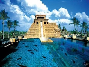 Mayan slide- plunge through the shark tank!