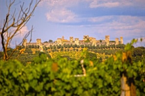 Castle of Monteriggioni form the Villa