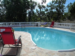 Gorgeous 20 foot pool with huge deck area/