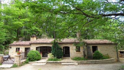 Impresionante casa de piedra perigordiana situada en un bosque de pinos a 4 km de Lascaux 4