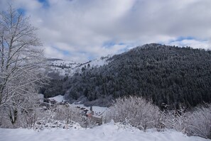 Sneeuw- en skisporten