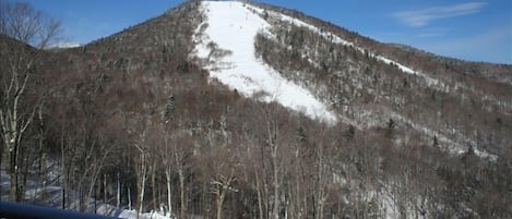 A Great view of Bear Mountain Peak right from the Deck!