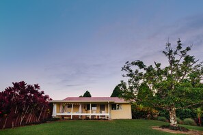 Hulili Farm Cottage with the bountiful avocado tree. Help yourselves!