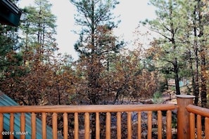 View from deck off the loft