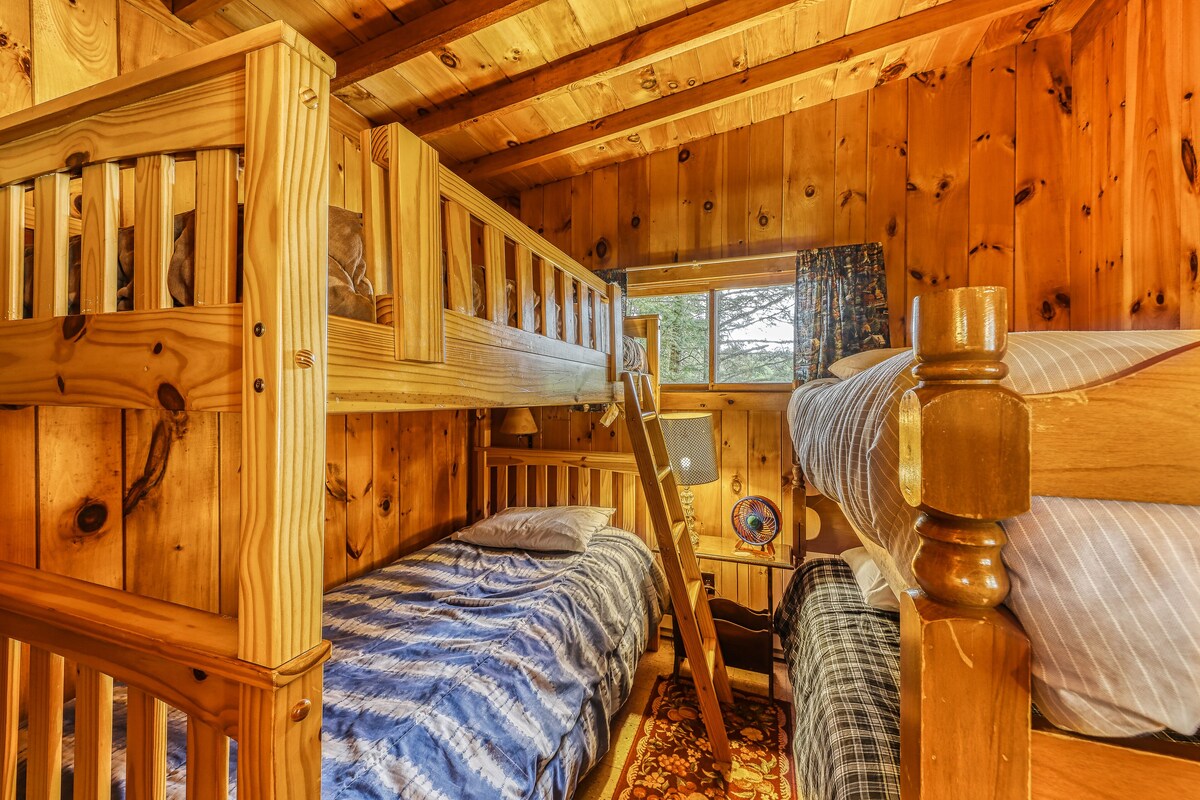 Dog-friendly cabin with lakefront location, 20′ dock, smart TV