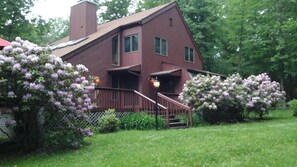 Side View of House in Early Summer with Rhododendrons in Full Bloom.