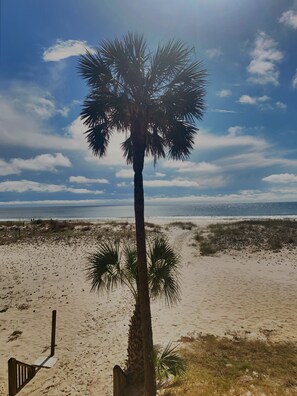 View from balcony. Oct 2020