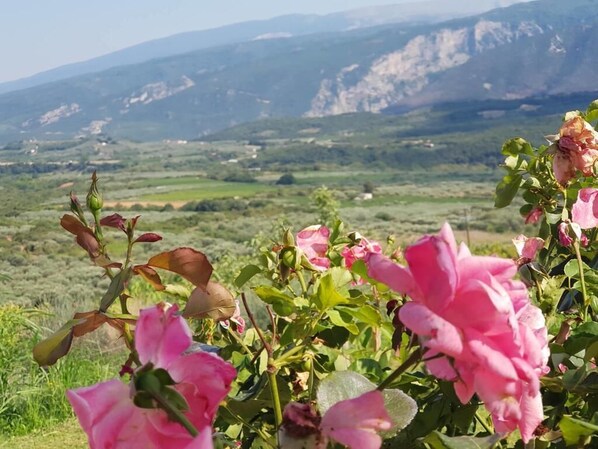 Εξωτερικός χώρος καταλύματος