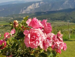 Εξωτερικός χώρος καταλύματος