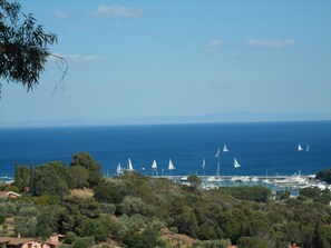 der Blick aus die Terrasse