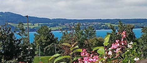 Sicht vom Balkon auf den See
