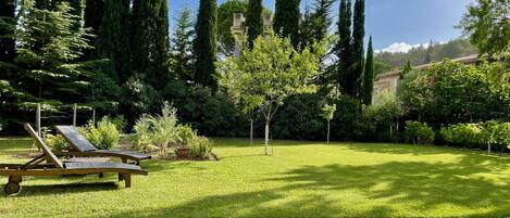 Le jardin avec le bassin de nage ( 3m x12m)