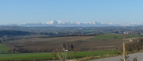Blick Vorderseite