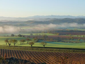 Blick Vorderseite