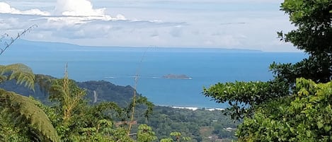 Beautiful Pacific Ocean, Drake's Bay and Forest Views