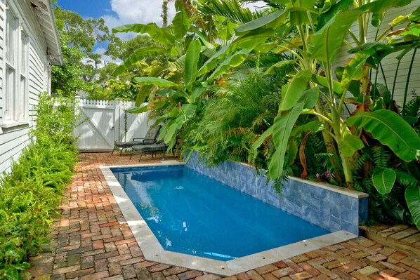 Private Oasis with Plunge Swimming Pool