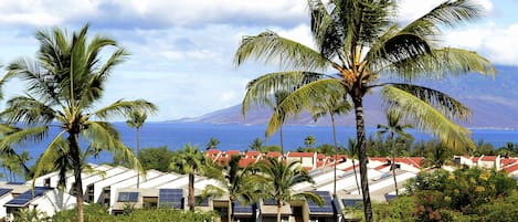 Gorgeous views of the ocean and Maalaea Bay. Great for whale watching.