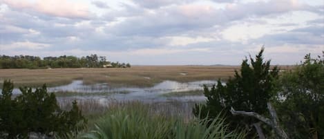 View from the deck at high tide