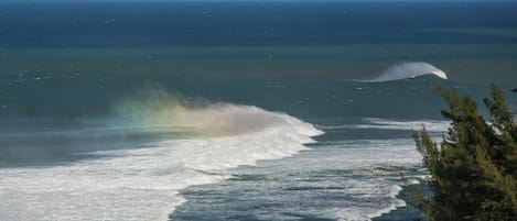 The first of the winter surf with the rainbow caught in the wave