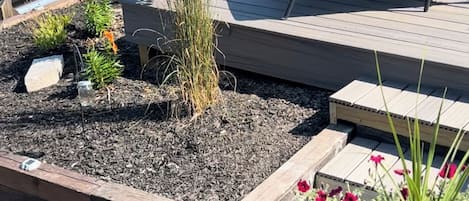 Deck area