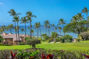 view from main lanai to pool Pavilion & beach
