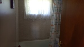 Tub and shower