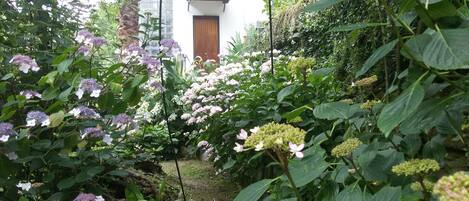 La vue du port d'entrée d'un coin du jardin.