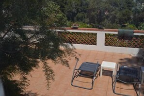 Terrace / Balcony