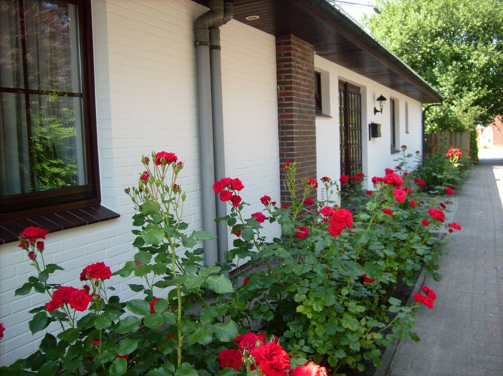 Gare de Wesselburen, Wesselburen, Schleswig-Holstein, Allemagne