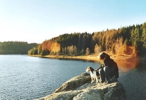 .......   Ausblick
 Talsperre "Eibenstock" 