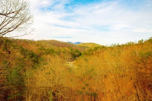 Views of the Smoky Mountains