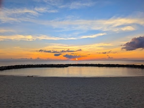 Swim in the cove or out of the cove to a great reef.