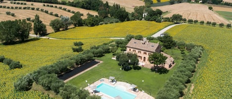 Aerial view of Villa Pedossa during sunflower season