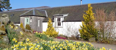 The Coo Shed in springtime