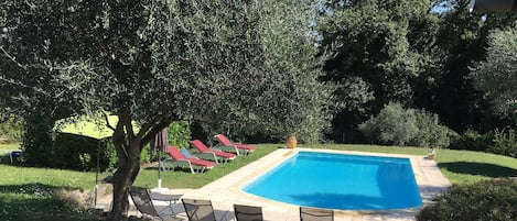 Grande piscine chauffée 🏊‍♂️⛱🌴