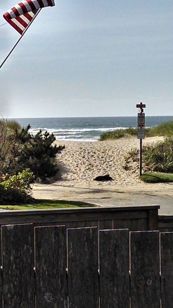 From front porch - 50 steps to the sand
