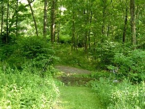 Trail to the Picnic Area