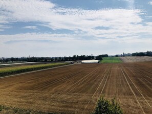Oklassificerad bild, 5 av 9, knapp