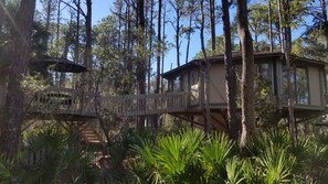 Quiet and Secluded surrounded by Palms and Live Oaks